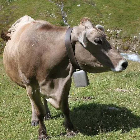 Szálloda Loredana Livigno