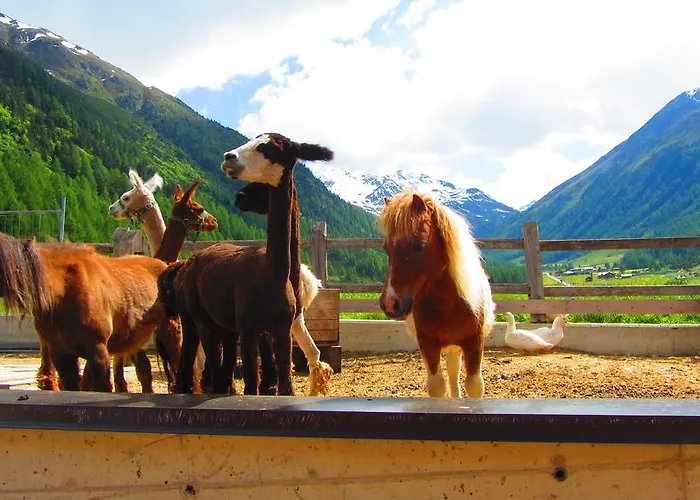 Hotel Loredana Livigno
